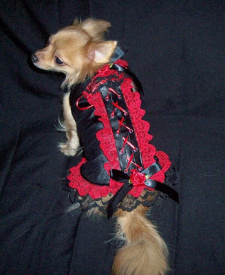 Illustration for article titled The 40 Sluttiest Dog Halloween Costumes